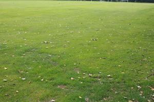 above, day, England, field, grass, London, natural light, The United Kingdom, vegetation