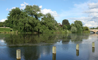 bollard, broad-leaf tree, broad-leaved tree, day, England, eye level view, lake, London, park, summer, sunny, The United Kingdom, treeline