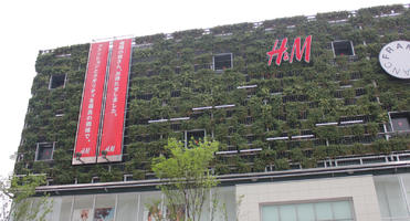 ambient light, below, building, day, diffuse, diffused light, Fukuoka, Fukuoka, hanging, Japan, natural light, overcast, plant, sign, spring