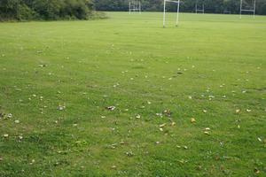 day, England, field, grass, London, lowered, natural light, The United Kingdom, vegetation