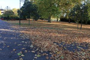 afternoon, autumn, Battersea park, day, England, eye level view, leaf, London, park, path, sunny, The United Kingdom, tree