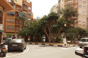 Alicante, building, car, day, eye level view, natural light, palm, residential, Spain, street, sunny, Valenciana, vegetation, walking, woman