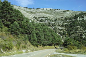 autumn, bright, day, eye level view, forest, France, mountain, Provence Alpes Cote D