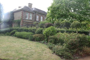 Abingdon, bush, day, England, eye level view, garden, house, natural light, park, shrub, summer, The United Kingdom