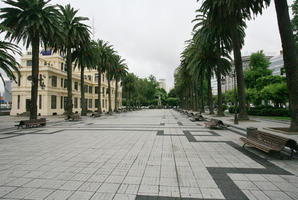 A Coruña, bench, day, eye level view, Galicia, natural light, overcast, palm, pavement, Phoenix dactylifera, Spain, square, summer