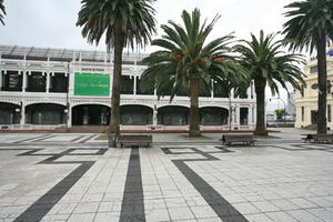 A Coruña, bench, day, eye level view, Galicia, natural light, overcast, palm, pavement, Phoenix dactylifera, Spain, square, summer