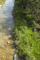 day, direct sunlight, elevated, Friuli-Venezia Giulia, grass, Italia , Palmanova, riverbank, spring, sunny