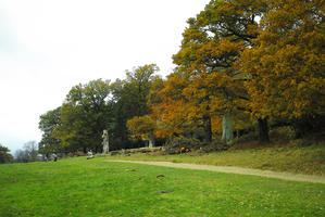 afternoon, autumn, cloudy, day, deciduous, England, eye level view, grass, lawn, open space, outdoors, park, path, The United Kingdom, tree, treeline, vegetation, Wimbledon