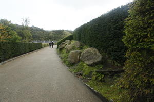 autumn, day, diffuse, diffused light, Eden Project, England, eye level view, garden, hedge, path, The United Kingdom