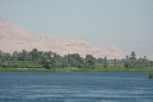 day, East Timor, Egypt, Egypt, eye level view, natural light, palm, river, river Nile, tree, vegetation