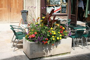 cafe, Champagne-Ardenne, city, day, eye level view, flower, France, potted plant, summer, sunny, Troyes