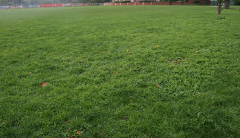 autumn, day, England, eye level view, grass, London, natural light, park, The United Kingdom