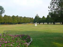 afternoon, day, England, eye level view, flower, garden, grass, natural light, park, plant, summer, sunny, The United Kingdom, tree