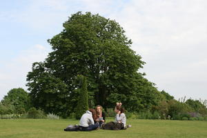 broad-leaf tree, broad-leaved tree, day, diffuse, diffused light, England, eye level view, group, London, natural light, park, people, picnicking, sitting, summer, The United Kingdom