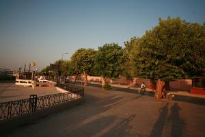 day, dusk, East Timor, Egypt, Egypt, eye level view, natural light, street, tree, vegetation