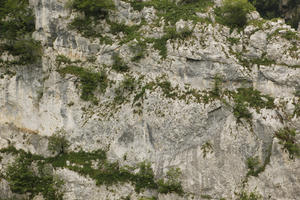 cliff, Croatia, day, diffuse, diffused light, eye level view, Karlovacka, natural light, summer