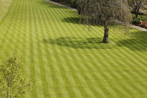 afternoon, day, Edinburgh, elevated, grass, natural light, park, Scotland, spring, The United Kingdom