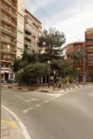 Alicante, building, day, eye level view, natural light, palm, residential, Spain, street, sunny, tree, Valenciana, vegetation