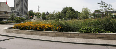 Canada, day, diffuse, diffused light, eye level view, flowering, garden, Ontario, Ottawa, pavement, shrub, summer