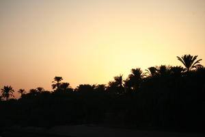 clear, dusk, East Timor, Egypt, Egypt, eye level view, silhouette, sky, vegetation