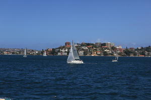 Australia, boat, cityscape, day, eye level view, New South Wales, seascape, summer, sunny, Sydney, yacht