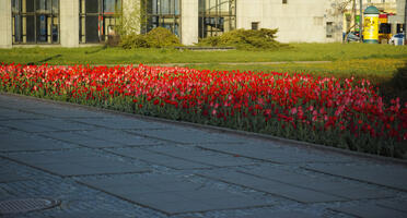 Mazowieckie, Poland, Warsaw