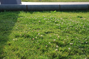 Barcelona, Cataluña, day, dusk, eye level view, grass, lowered, Spain