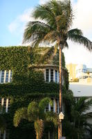 architecture, building, day, dusk, eye level view, facade, Florida, ivy, Miami, palm, residential, The United States, tree, vegetation, winter