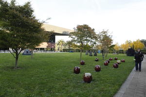 autumn, broad-leaf tree, broad-leaved tree, California, day, diffuse, diffused light, eye level view, grass, park, San Francisco, sculpture, The United States