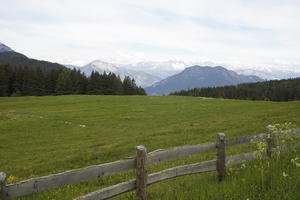 day, diffuse, diffused light, eye level view, field, grassland, Italia , mountain, summer, Trentino-Alto Adige