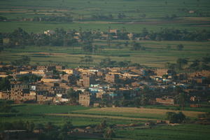 aerial view, dusk, East Timor, Egypt, Egypt, palm, town, tree, vegetation