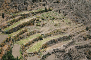 Arequipa, Arequipa, autumn, day, elevated, natural light, Peru, sunny, valley, Valley of Volcanoes, vegetation