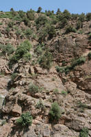 below, day, Marrakech, Morocco, mountain, summer, sunny