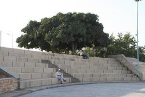 Agadir, arabic, autumn, day, eye level view, man, Morocco, sitting, square, steps, sunlight, sunny, sunshine, tree, vegetation