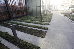 courtyard, day, eye level view, garden, Krakow, Malopolskie, pavement, Poland, sunny, winter