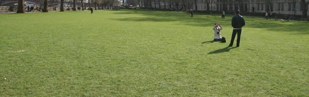 couple, day, direct sunlight, England, eye level view, grass, London, man, park, spring, sunny, The United Kingdom, tree, woman