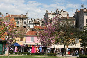 architecture, blossom, canopy, Croatia, day, eye level view, house, Istarska, natural light, people, roof, shopping, spring, stall, summer, sunny, tree, vegetation, village