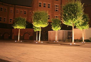 artificial lighting, autumn, broad-leaf tree, broad-leaved tree, England, eye level view, Gloucester, night, outdoor lighting, pavement, square, The United Kingdom, tree, young