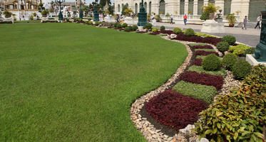 Bangkok, bush, day, eye level view, garden, grass, Krung Thep Mahanakhon, shrub, summer, sunny, Thailand