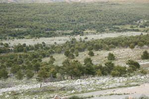 Croatia, day, Dubrovacko-Neretvanska, Dubrovnik, elevated, natural light, summer, valley, woodland