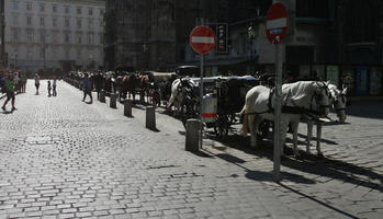 afternoon, Austria, carriage, coach, day, direct sunlight, eye level view, floor, horse, natural light, pavement, pavement, people, plaza, square, summer, sunlight, sunny, sunshine, Vienna, Wien