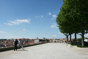 broad-leaf tree, broad-leaved tree, day, direct sunlight, eye level view, pavement, Porto, Porto, Portugal, spring, square, sunny