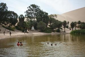 child, day, desert, direct sunlight, eye level view, group, Ica, Peru, pond, spring, sunlight, sunny, sunshine, swimming, vegetation