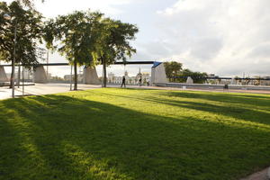 afternoon, autumn, Barcelona, broad-leaf tree, broad-leaved tree, Cataluña, day, eye level view, grass, park, Spain, sunny