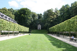 Belgium, Brussels, day, eye level view, grass, natural light, park, summer, tree, vegetation