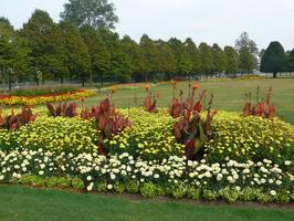 afternoon, day, England, eye level view, flower, garden, natural light, park, plant, summer, sunny, The United Kingdom, tree