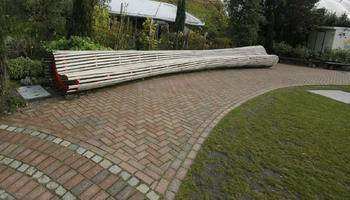 autumn, bench, day, diffuse, diffused light, Eden Project, England, eye level view, garden, path, pavement, The United Kingdom