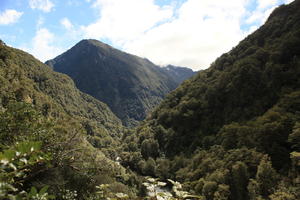 day, elevated, mountain, summer, sunlight, sunny, sunshine, woodland