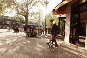 cafe, casual, chair, day, eye level view, France, furniture, group, Ile-De-France, Paris, people, shady, sitting, spring, square, sunny, table, umbrella, walking