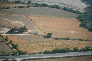 aerial view, day, field, Ica, natural light, Nazca, Peru, road, tree, vegetation